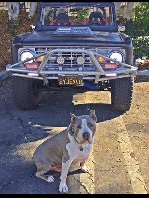 Morales Auto Electric