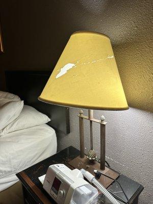 The Cactus Cove Inn and Suites