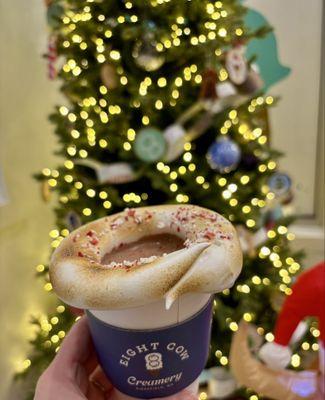 Dark chocolate peppermint hot cocoa no whip