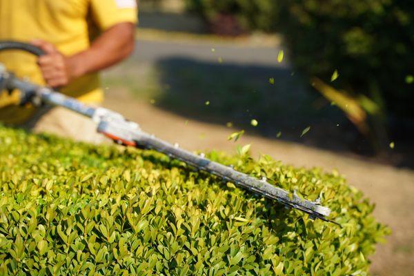 Augusta Lawn Care Services