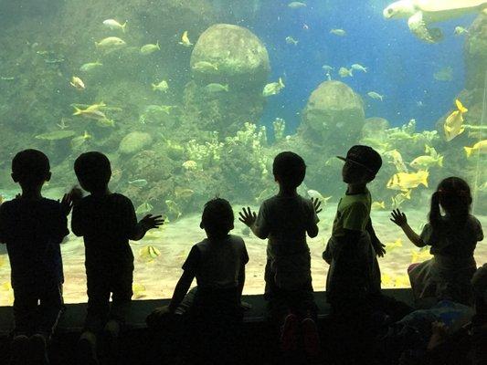 Little Lighthouse Family Child Care