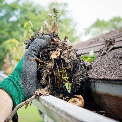 Mountain Junk Removal