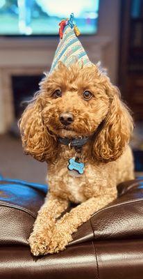 Humane Society of Utah