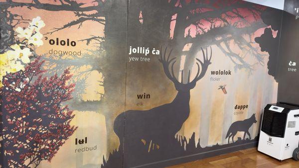 1/18/2025: 'Uba Seo: Nisenan Arts & Culture Museum--listening to the pronunciation of Nisenan words.