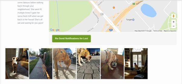 Who Let The Dogz Out