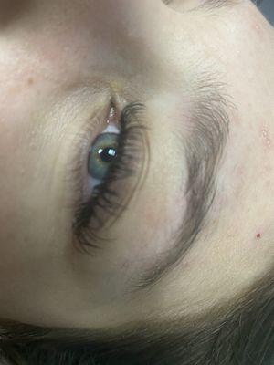 L'cache Brow & Lash Bar