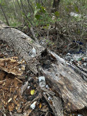 Silver Creek Apartment Homes