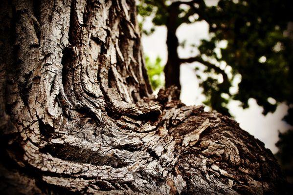 Photo And Graphic Design Life Of Heugly