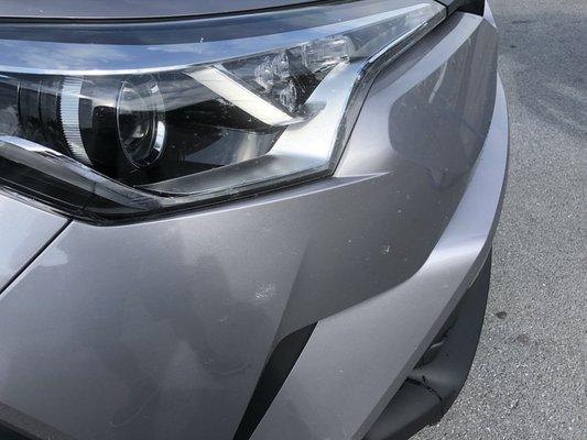 Tiny Bubbles Car & Dog Wash