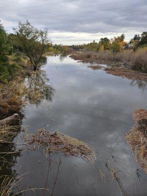 Laguna Creek Wildlife Park