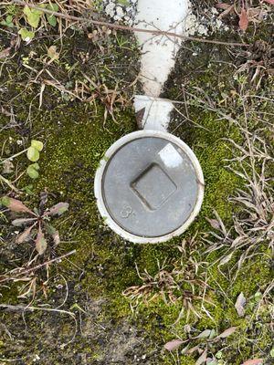 Elevation Real Estate and Management