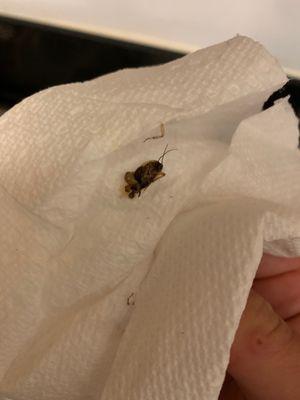 Portland Place Apartments