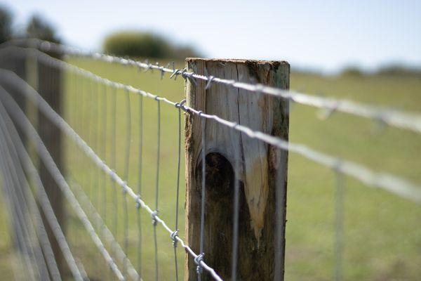 Alley Land And Fencing
