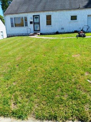 Frazier Bros Labor Kings