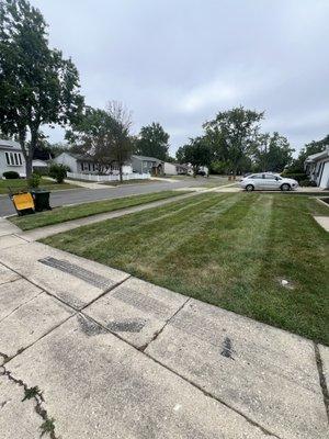 Elevated Gardens Landscaping