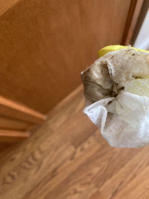 Oakwood Management Company