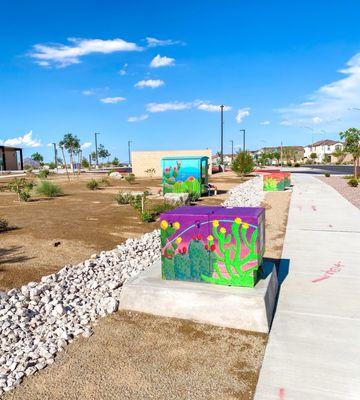 Blooming Cactus Park