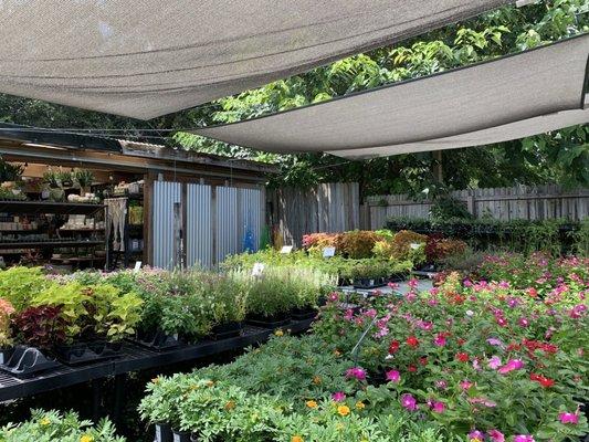 Palmer's Garden & Goods