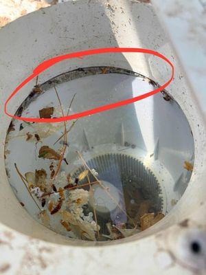 Aqua Techs Pools and Spas