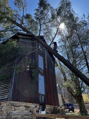 Emergency Job.
Wind blew this beauty over into this barn we was able to get there quicky to remove it.