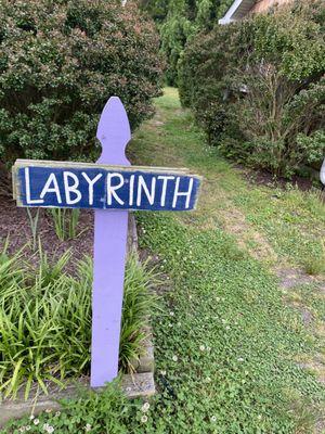 Lavender Fields at Warrington Manor