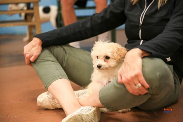 Henri's first SmartySocial