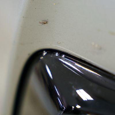 Visible bubble with debris trapped underneath PPF