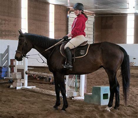 Hilltop Stables