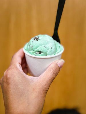 Mint chocolate chip