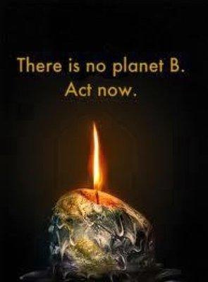 Thomas Ingerick Gallery