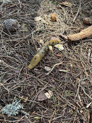 Stillwater Cove Regional Park