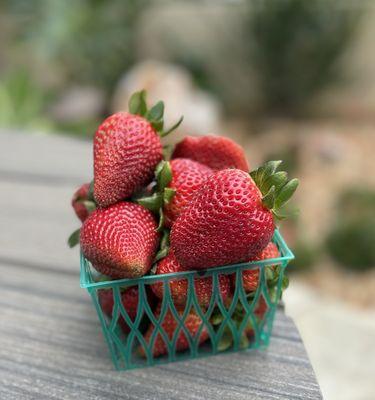 It's that time! $7!!!! Wow