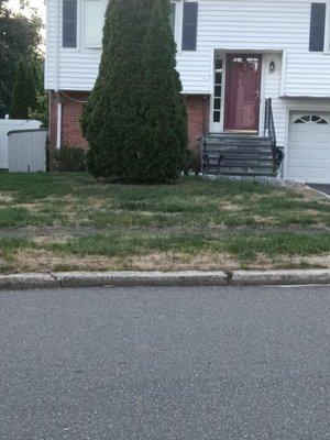 Mendez Lawn Care and Tick Control