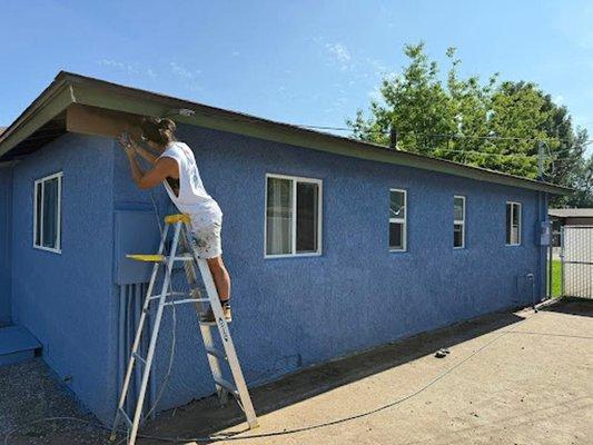 Paul Mitchell Painting