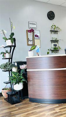 QuikClips Hair Salon