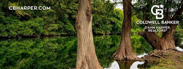 Linda Stilwell  - Coldwell Banker D'Ann Harper Realtors