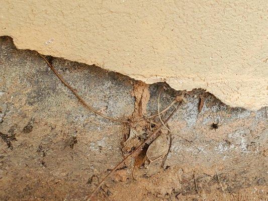 Pointsource Pest Control