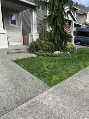 Grass, looks good to me. Better than the common area grass the HOA is responsible for-