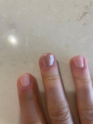 Adrienne Michelle's Salon & Spa