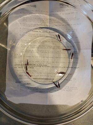 Note 9 not 10 maybe go back to school