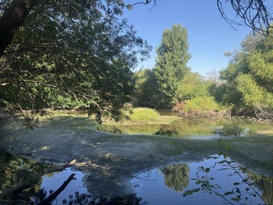 I-20 Wildlife Preserve & Jenna Welch Nature Study Center