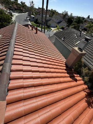 After our full roof treatment and rinse.