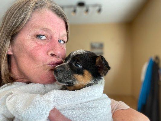 This is Roxie my little girl