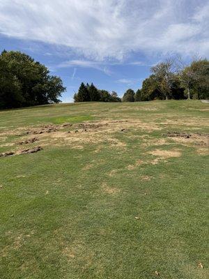 Oak Tree Country Club