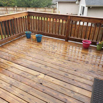 SteelChain Management Janitorial Service