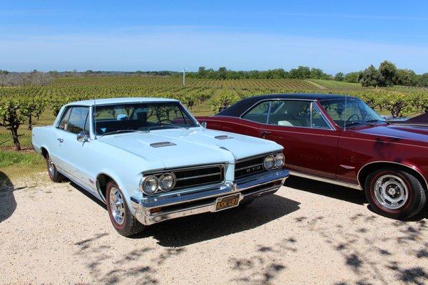 Nelson Automotive Group