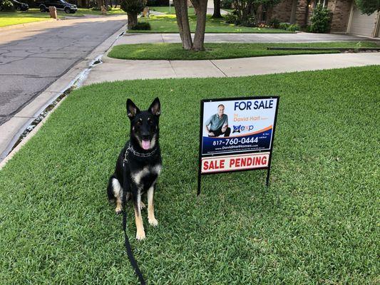 Lexa says my owner is the TOP DOG in Real Estate!