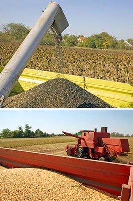 Matt Hamel AG Products