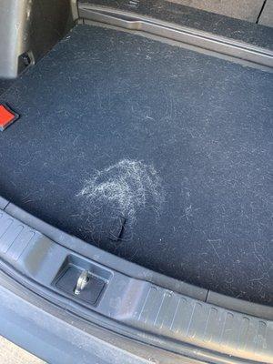 Pet hair removal on CR-V before