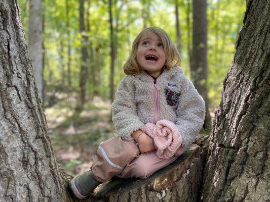 Westbrook Nature School